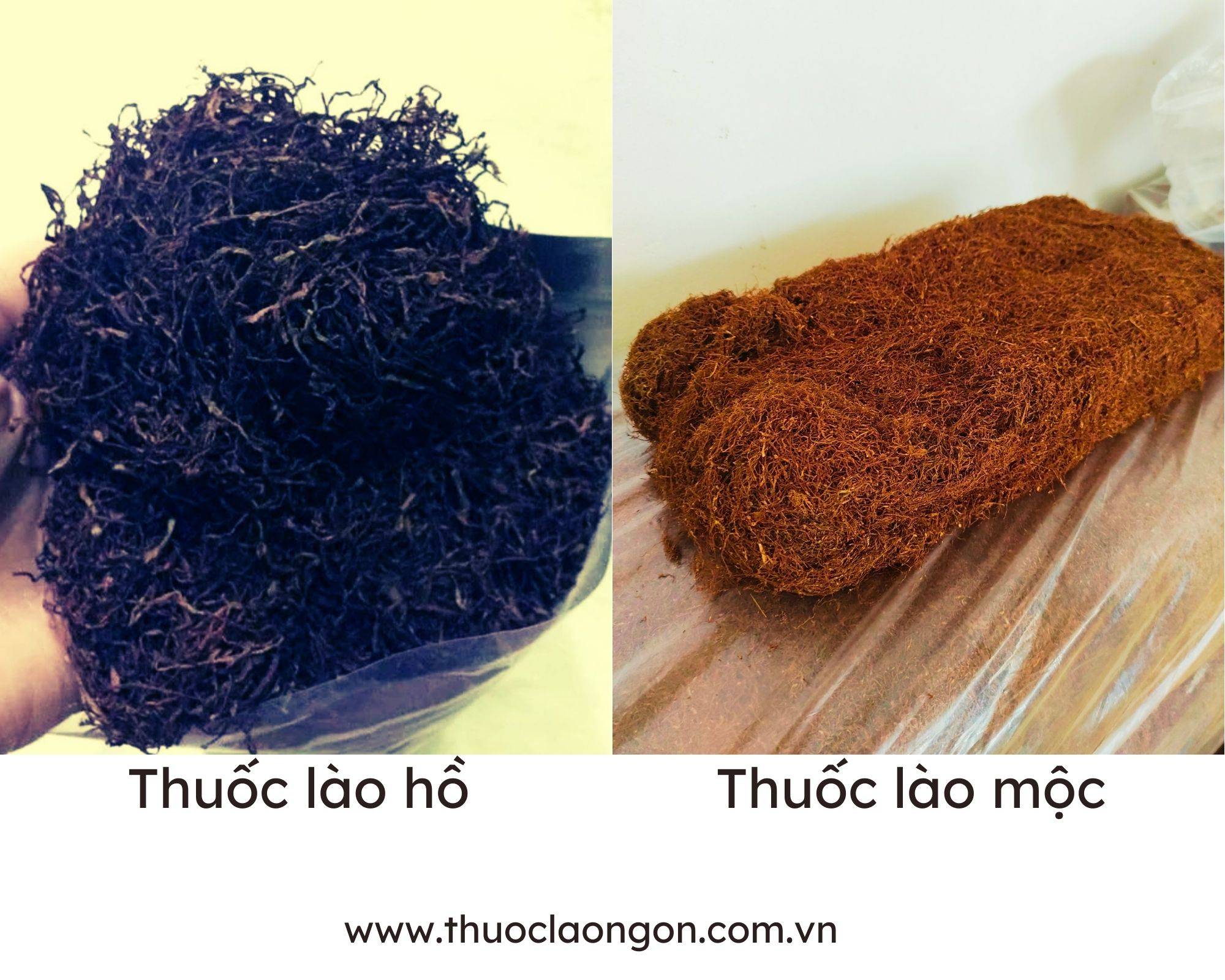 cách nhận biết thuốc lào ngon